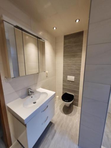 a bathroom with a white sink and a toilet at Ferienwohnung Neubörger mit Hottub in Neubörger