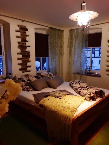 ein Schlafzimmer mit einem großen Bett in einem Zimmer mit Fenstern in der Unterkunft Familienfreundlich Wohnen im Miriquitdi Erzgebirge 