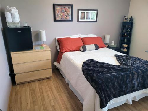 a bedroom with a bed and a dresser with a television at The Dewberry Homestay B&B in Edmonton