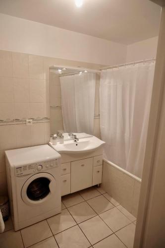 une salle de bain avec une machine à laver et un lavabo dans l'établissement Appartement dans résidence au calme, à Bayonne