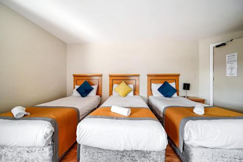 a group of four beds in a room at Iona Inn in Derry Londonderry