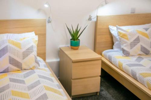 a bedroom with two beds and a plant on a night stand at Faulds Crescent Lodge ✪ Grampian Lettings Ltd in Aberdeen