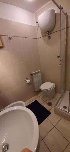 La salle de bains est pourvue de toilettes et d'une douche en verre. dans l'établissement Castello di Fumone, à Fumone