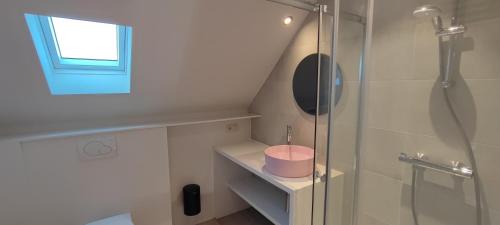 ein Bad mit einer Dusche und einer rosa Schale in der Unterkunft Maison Rose Plopsaland in De Panne