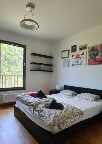 a bedroom with a large bed and a window at Casa del Svana Bratislava in Bratislava