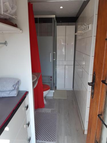 ein Bad mit einer Dusche und einem WC in der Unterkunft Studio indépendant in Saint-Illiers-la-Ville