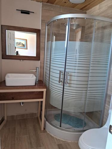 een badkamer met een douche, een wastafel en een toilet bij Villas la Quinta (etapa Aserradero) in Creel