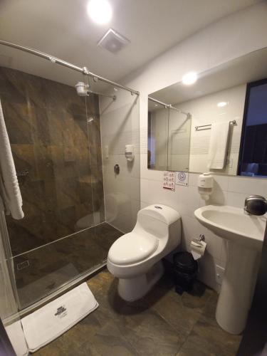 a bathroom with a toilet and a shower and a sink at HOTEL SANTORI in Pasto