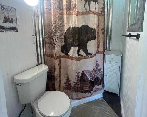La salle de bains est pourvue de toilettes et d'un rideau de douche. dans l'établissement Grizzly Ranch, à Geneva