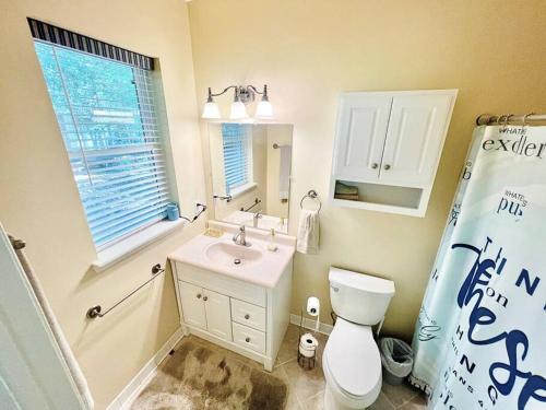 a bathroom with a toilet and a sink and a mirror at Serenity View Lakeside Retreat on Lake Murray, SC in Lake Murray Shores