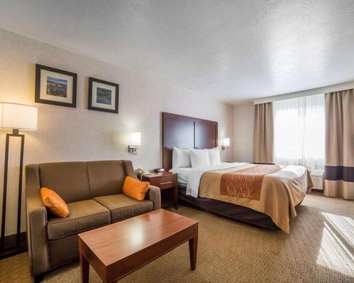 エルコにあるComfort Inn Elkoのベッドとソファ付きのホテルルーム