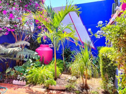 a garden with palm trees and a large pink vase at Posada Bugambilia in Mexico City