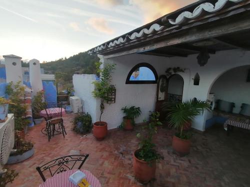 eine Terrasse mit Topfpflanzen auf einem Gebäude in der Unterkunft Dar naya in Chefchaouen