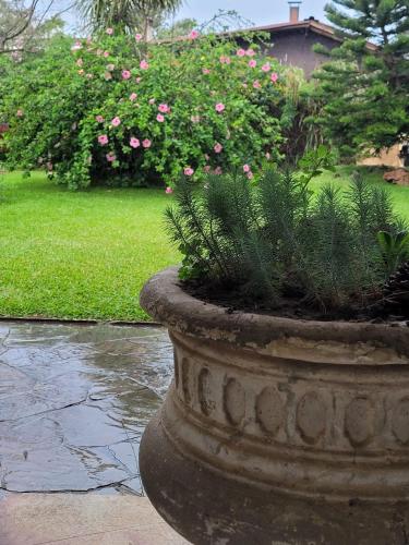 a large stone planter with plants in a yard at Bidieen Inn Uruguay in Carrasco