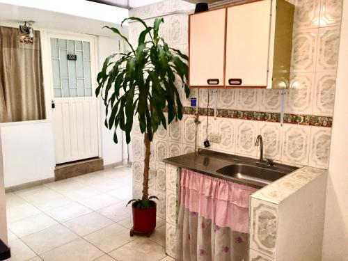 a kitchen with a sink and a potted plant at Dorado Airport rooms & apartments in Bogotá