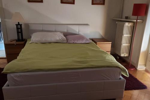 a bedroom with a large bed with a green blanket at Appartement de 3 chambres à coucher in Lausanne