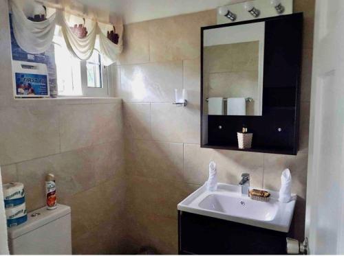 a bathroom with a sink and a mirror at West Coast 1 Bedroom Apartment 66 - Close to beach in Saint James