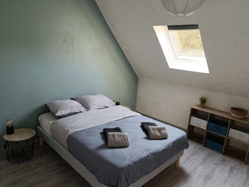 1 dormitorio con 1 cama con 2 almohadas en Magnifique F2 Cosy Centre-Ville, en Lisieux