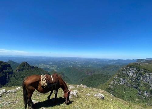 a horse standing on top of a mountain at Parque Nacional EcoResort in Urubici