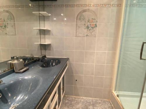 a bathroom with a sink and a shower at T3 Moderne 6p au bord de la mer, Le Barcarès, parking et terrasse - FR-1-81-593 in Le Barcarès