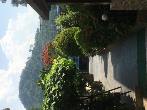 a group of plants on the side of a building at The North Face Inn in Pokhara