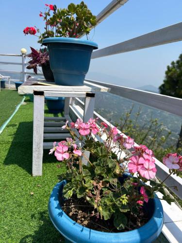 two potted flowers in a blue pot on a balcony at Wincliff Orchard Resort in Mukteshwar