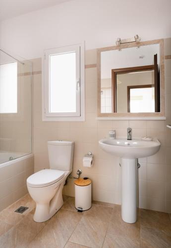 a bathroom with a toilet and a sink and a mirror at Vasilopoulos Residences - Villa Chloe with private pool in Argostoli