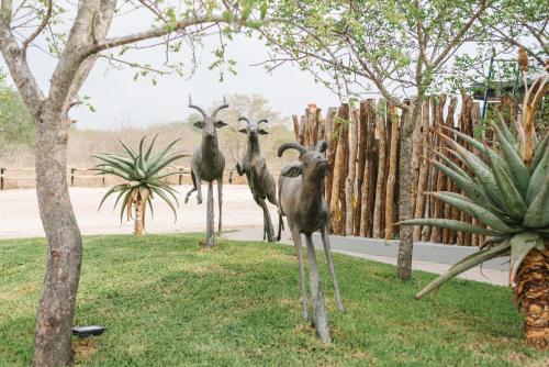 a group of birds standing next to a fence at The Orpen Kruger in Welverdiend