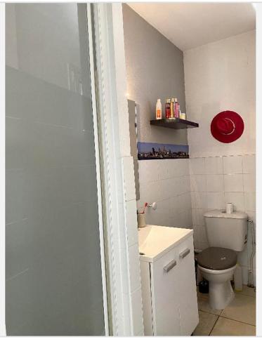 een kleine badkamer met een toilet en een wastafel bij villa marina in Agde