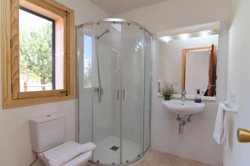 y baño con ducha, aseo y lavamanos. en Finca Sa Vinyeta 504 by Mallorca Charme en Binissalem