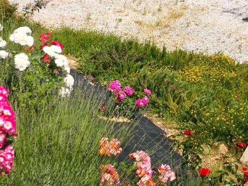 Κήπος έξω από το Agriturismo I Colli