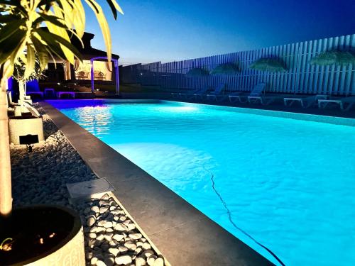una gran piscina azul con una palmera en Alma Rezidence, en Turda