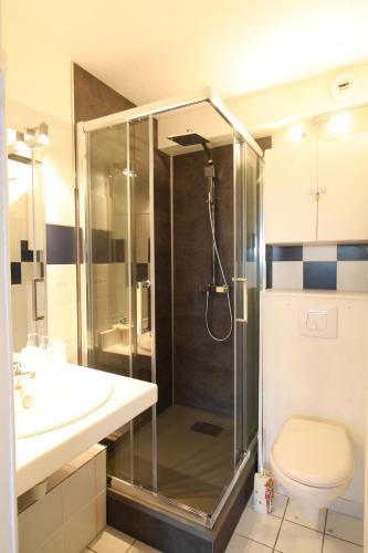 une salle de bain avec une douche avec des toilettes et un lavabo dans l'établissement Appartement Le Touquet - Jardin, à Le Touquet-Paris-Plage