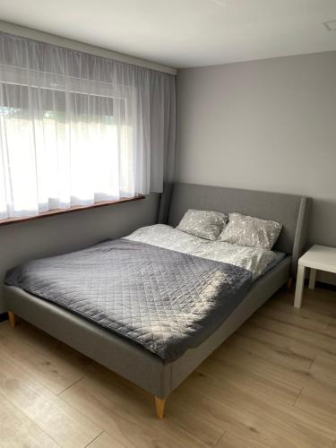 1 cama en un dormitorio con ventana en Boszkowo summer house & apartments en Boszkowo