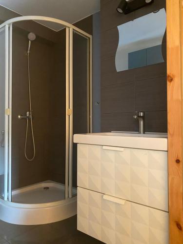 La salle de bains est pourvue d'une douche et d'un lavabo. dans l'établissement Boszkowo summer house & apartments, à Boszkowo