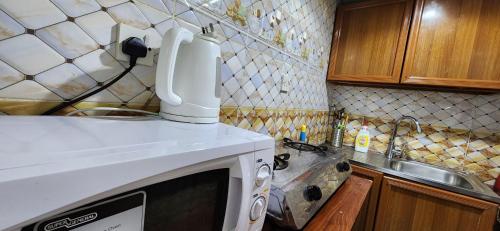 阿布達比的住宿－Uniqueland，厨房的台面上配有微波炉