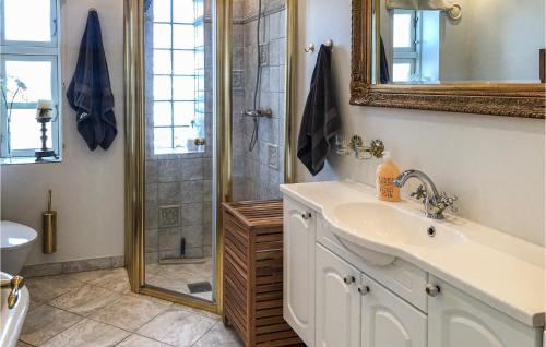 a bathroom with a sink and a shower at Awesome Home In Nysted With Wifi in Nysted