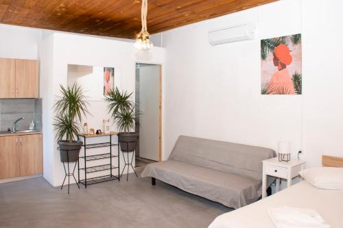 PlokamianáにあるCasa Elafonisi N2-10min from the beachのギャラリーの写真
