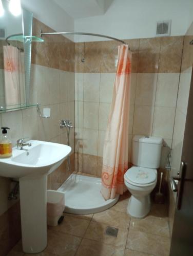 ein Bad mit einem Waschbecken, einem WC und einer Dusche in der Unterkunft Nektaria on the Beach in Fourni Ikaria