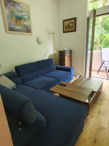 バート・ハルツブルクにあるMy Happy Home - inclusive Pool & Saunaのリビングルーム(青いソファ、コーヒーテーブル付)