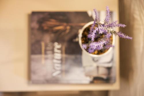a vase with purple flowers in it on a shelf at Hotel Balaton in Riccione