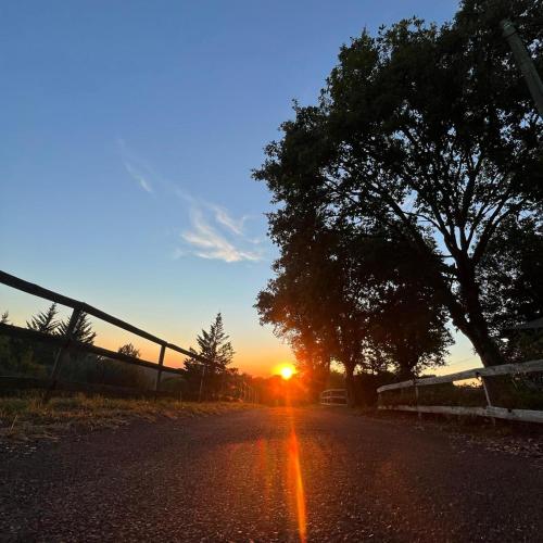 a sunset on a road with a tree and a fence at 7-gîte-7 personnes au cœur de la nature /piscine in Saint-Aubin-de-Nabirat