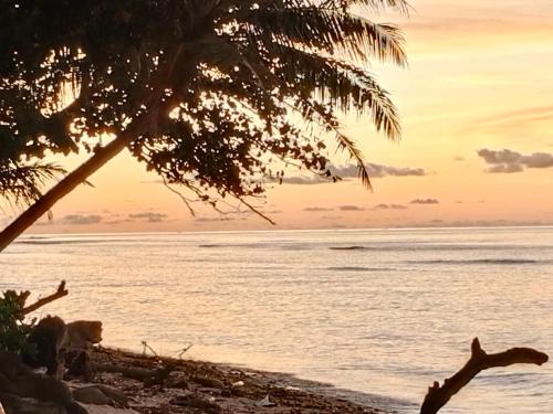 a sunset on a beach with a palm tree at Rumah Nalu surf camp in Krui