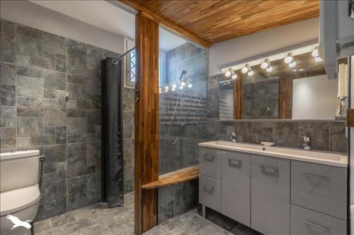 une salle de bain avec un lavabo, des toilettes et un miroir dans l'établissement Détente Piscine et jacuzzi au Bassin d'Arcachon, à Andernos-les-Bains