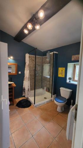 une salle de bain avec douche et toilettes dans l'établissement La hulotte de Labarthe, à Mazères