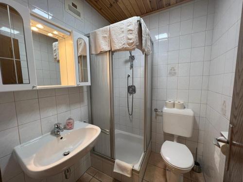 ein Bad mit einem Waschbecken, einer Dusche und einem WC in der Unterkunft Feistritzer in Seeboden