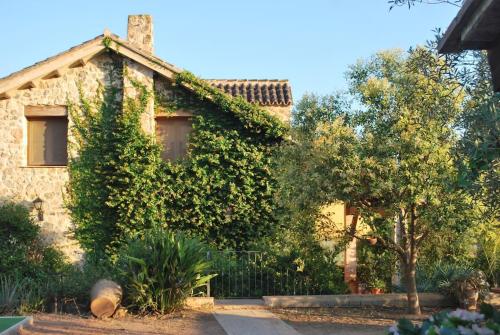 una casa con hiedra creciendo a su lado en VILLA TAMARIT, en Pedralba