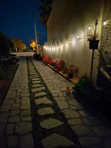 a cat sitting on a stone walkway with lights at Anna's house 2 in Psakoudia