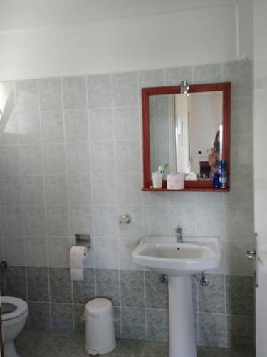 a bathroom with a sink and a toilet and a mirror at Earthly paradise Kariani in Karianí