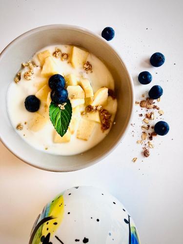a bowl of yogurt with bananas and blueberries at Floria Glamping Garden in Labin